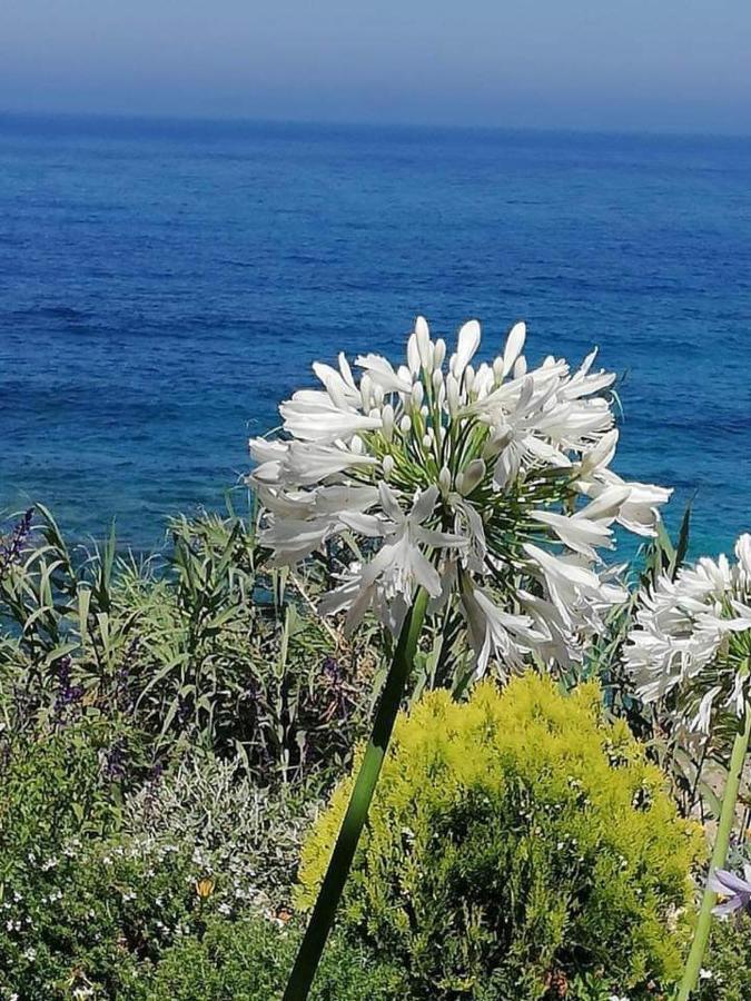 Ikaria Village-Ground Floor Apartment No 4 Klorakas Exterior photo